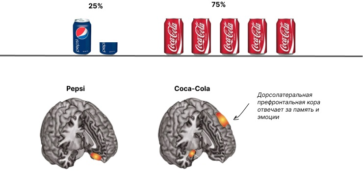 Влияние бренда на мозг